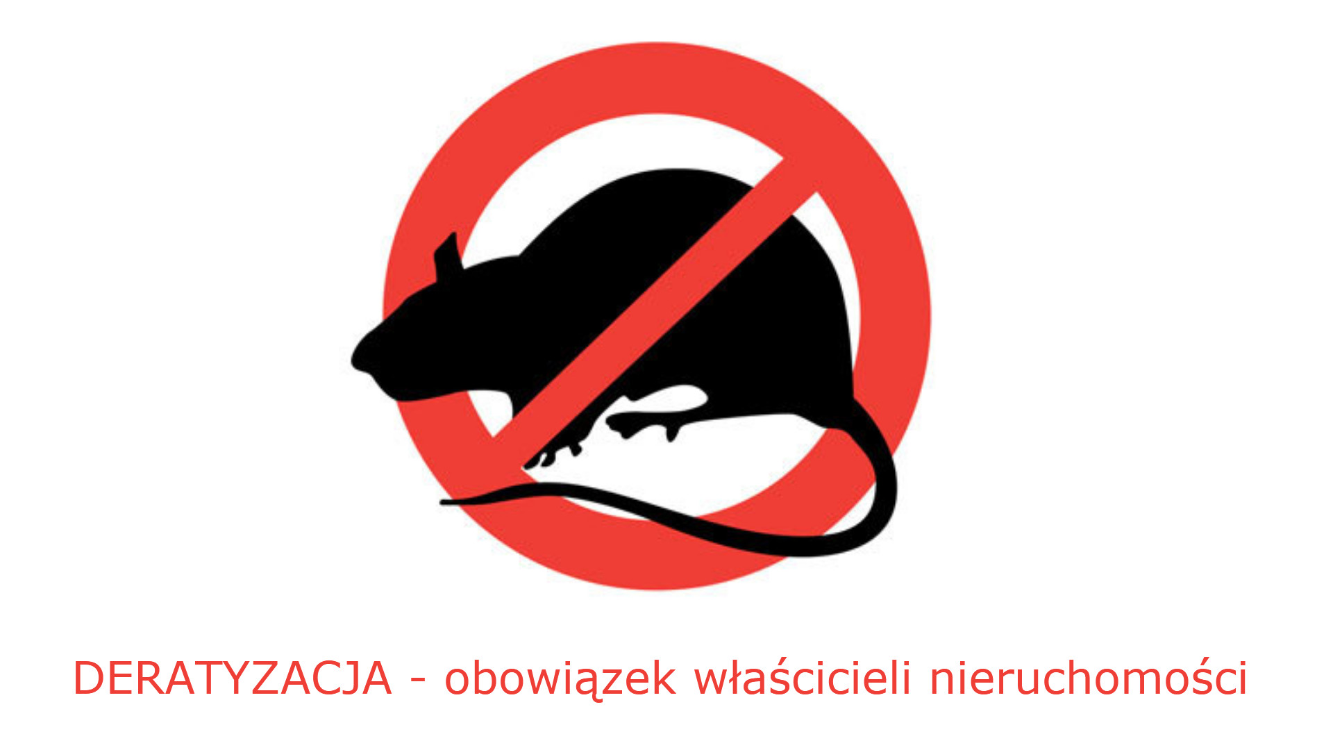Obowiązek deratyzacji